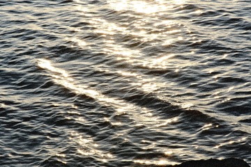 3E02F091-AB25-4209-9C2D-ED351B9C2A4F/L0/001