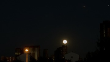 65475AE0-909F-4DE1-9679-E165A0C1EF28/L0/001