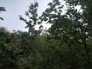 452703