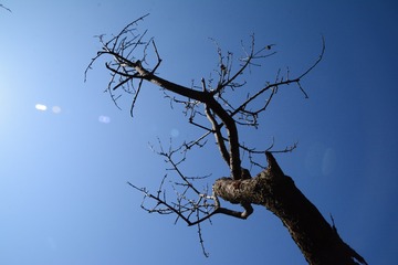 578027
