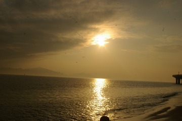 58B4E93E-5C79-4D68-A1F2-1C31210C8D8D/L0/001