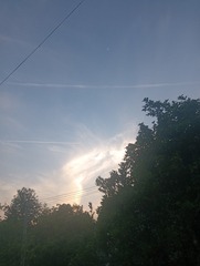 1000112896
