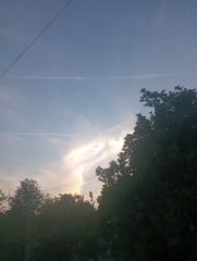 1000112903