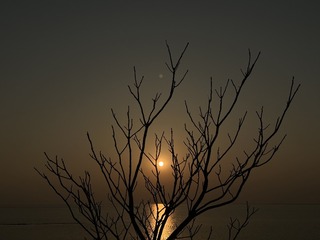 BE742A4D-F539-41B8-B906-BF14B28FE99B/L0/001