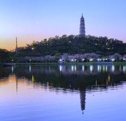 BD91EF78-D888-42FB-AE97-8A9E8C1ADEAC/L0/001