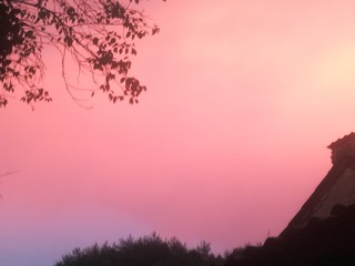 97