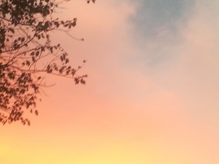 95