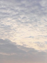 A1A62AD0-DD60-4185-866C-261786472A7C/L0/001