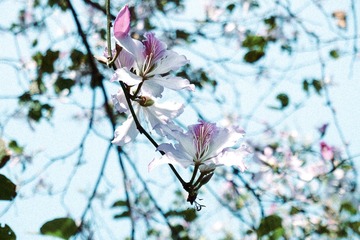 D43509C1-5A0B-4EC2-8460-21129999E85A/L0/001