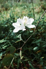 6975F40B-3B50-4557-9403-F921AACCB1D8/L0/001