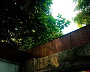 20090721-_DSC0658-2.jpg