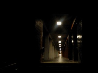堪培拉生活