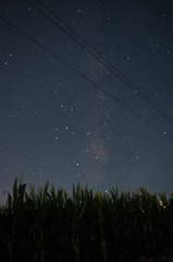 1000094517