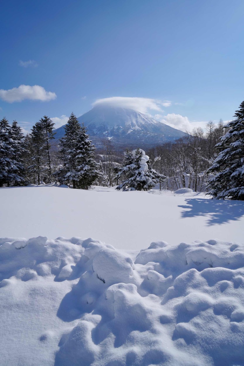 北海道白雪皑皑