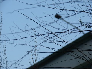 F99F33AB-E8E8-4404-8CE1-1689A22FF0B3/L0/001