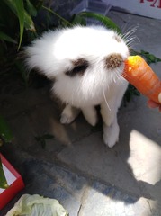 2701