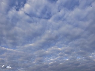 B7EF3BE1-B08D-45AB-BA5E-3CA287BA5486/L0/001