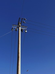 6C5FB9E7-52FE-432F-954F-3B931C83A8E2/L0/001