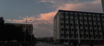 1000000774