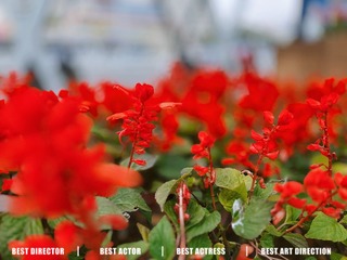 00D4B619-D4C3-45DC-9E67-4CFDBD3B9352/L0/001