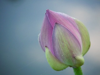 120137