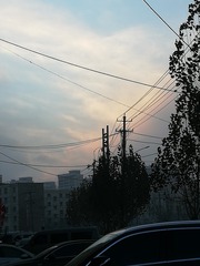 302541