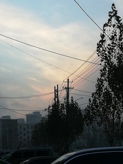 302542