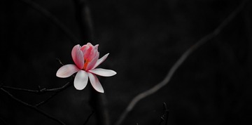 969155