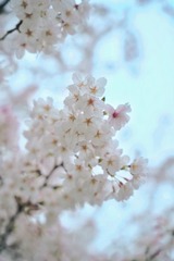 C515EE5D-872F-4BD9-9179-2EB68EF2E302/L0/001