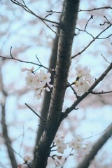 FC6B8646-90B6-4AD9-A7E8-D3FD11EC88B6/L0/001