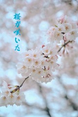 A575650C-1FAA-4AA1-A697-B398B4685830/L0/001
