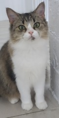 34112