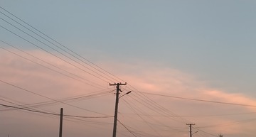 33826