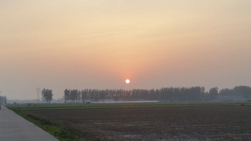 1233549