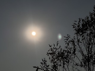 C2A2823E-3B8C-4FC3-9010-778DBE5B64F5/L0/001