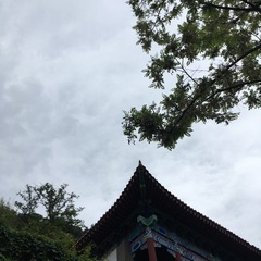 A222194E-36A1-4636-A95C-5A0D68A58567/L0/001