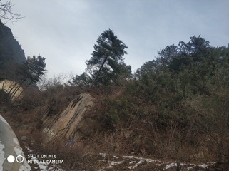 190121