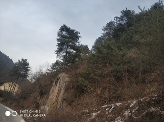 190128