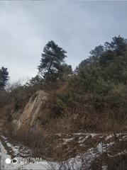190129