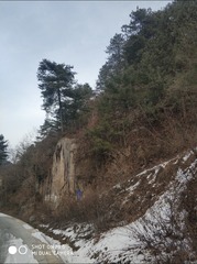 190119