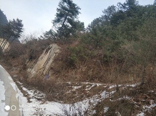 190120
