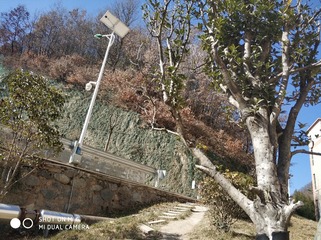 190252