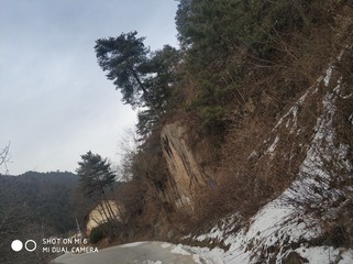 190125
