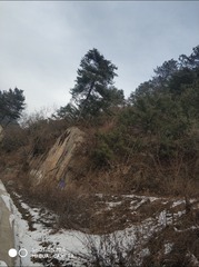 190124