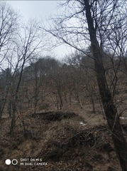 190104