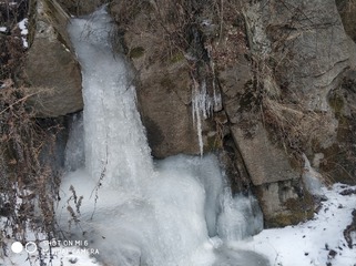 190118