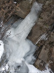 190116