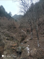 190087