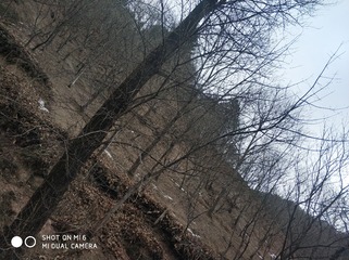 190105