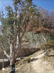 190258
